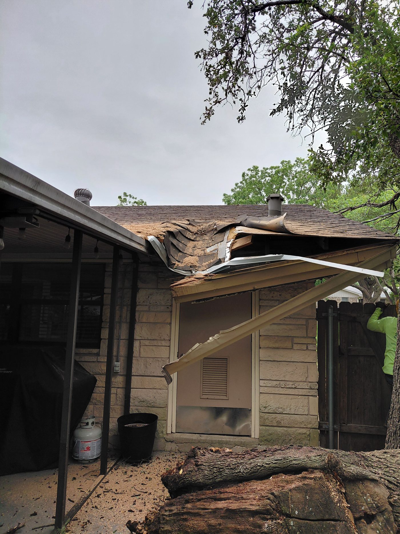 Stump grinding and tree removal cleanup in Round Rock TX